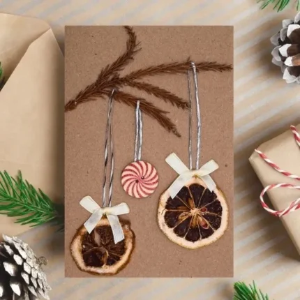 Personalized Christmas card featuring two dried oranges and green twigs.